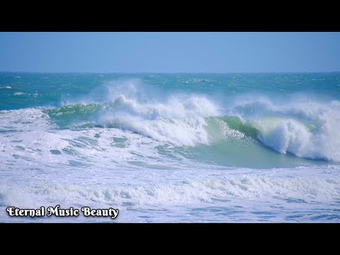 Видео: Музыка для души🎶Которую хочется слушать вечно🎶Лучшие композиции Сергея Грищука #2