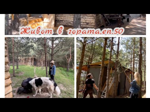 Видео: ЗА МАЛКО ДА СТАНЕ БЕЛЯ! ЖИВОТ В ГОРАТА,ЕП.50.ИЗВЪН СИСТЕМАТА#building#smallhouse#малкакъща#loghouse#