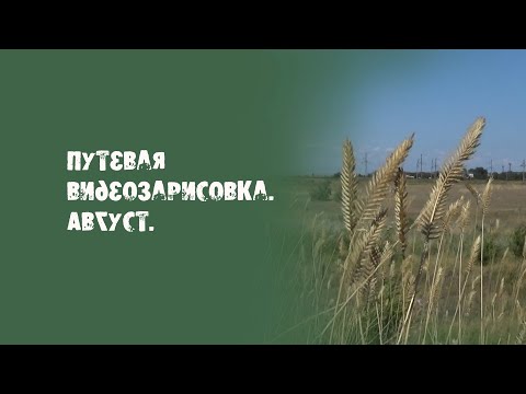 Видео: Путевая видеозарисовка.  Август.