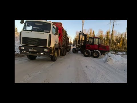 Видео: Как доехать на делянку и не заблудиться. #лесовоз #маз