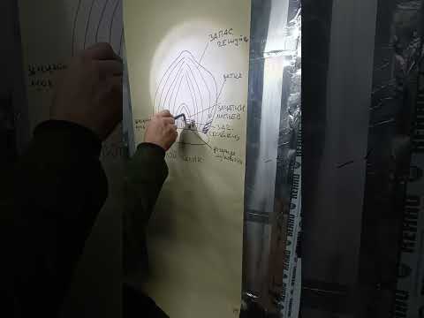 Видео: Болезни тюльпана. Начало(НЕКРОЗ)!!!!