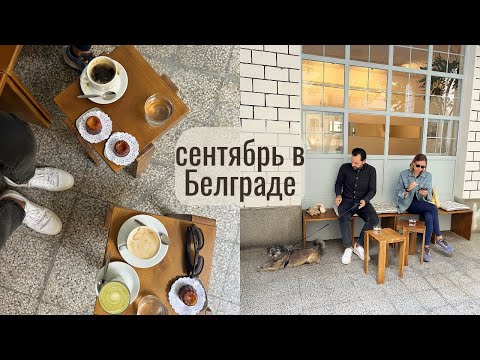 Видео: один день в Белграде