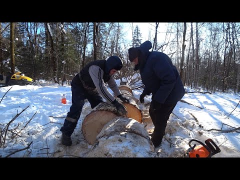 Видео: ПРОШЛА ЗИМА, ЖИВЕМ В ТАЙГЕ.