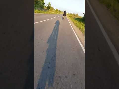 Видео: Титановый велосипед против шоссейного