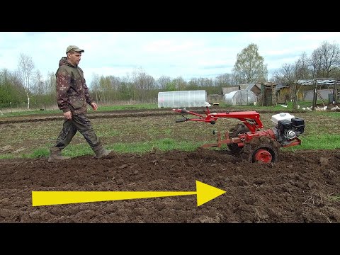 Видео: Мотоблок мтз Беларус  пашет САМ и работа  стала в удовольствие!