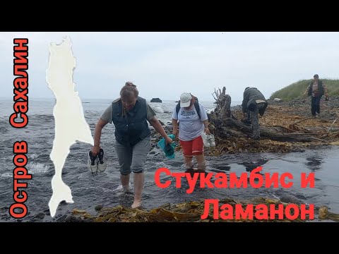 Видео: мыс Стукамбис и мыс Ламанон. Сахалин. 6. 07.24.