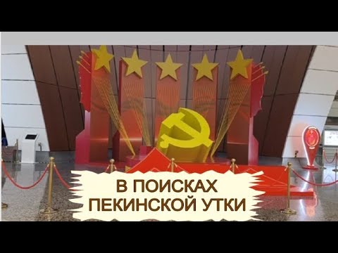Видео: Транзит в аэропорту Пекина Дасин. Отель в Пекинском аэропорту. Где поесть в Пекин Дастн