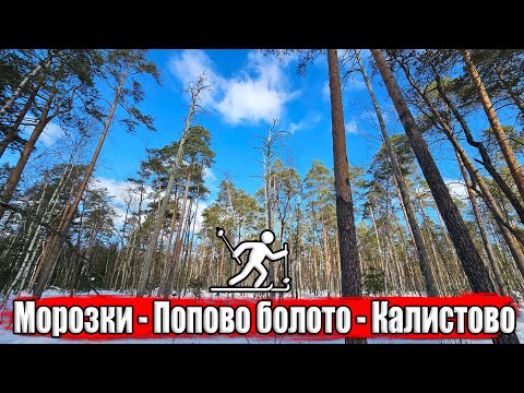 Видео: Лыжный поход через Попово болото / Морозки - Калистово 36 км / Закрыл лыжный сезон