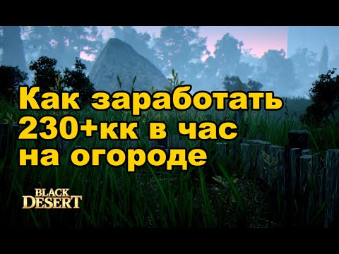 Видео: 🌱 236кк в час на огороде BDO. Фарм серебра в Black Desert (MMORPG)