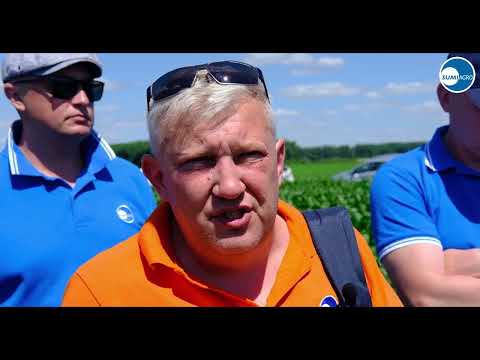 Видео: Летняя школа SumiПитание