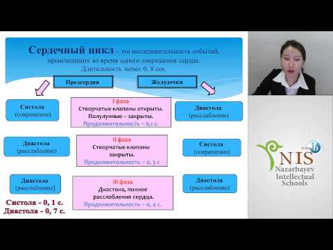 Видео: Значение сердца Манкиева Л М