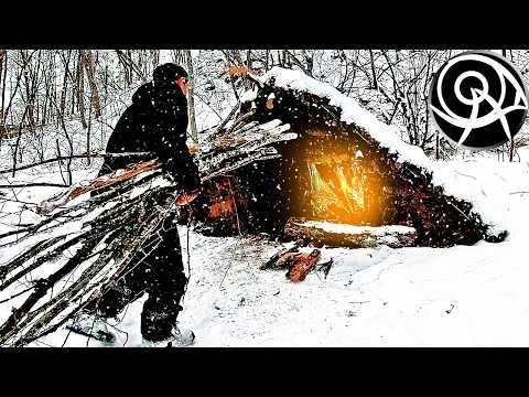 Видео: Один живу в Зеленой Хижине зимой |2| Выживание и бушкрафт в укрытии в глуши: дрова, утепление