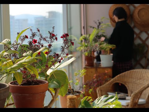 Видео: Какой самый прекрасный день в моей жизни?