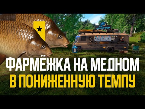 Видео: Фармёжка на Медном в пониженную температуру воды ● Русская рыбалка 4 ● Перчик РР4
