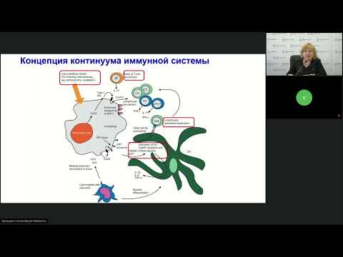 Видео: Возможности клеточной иммунотерапии