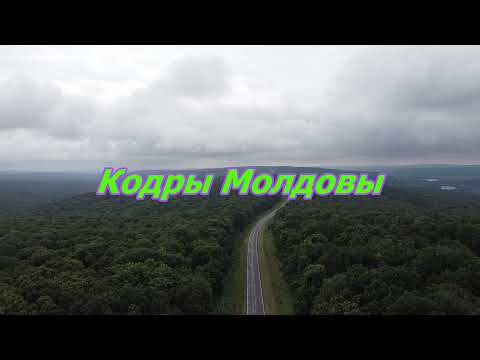 Видео: Кодры Молдовы