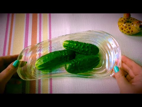 Видео: ASMR EATING ЕМ ОЧЕНЬ ХРУСТЯЩИЕ ОГУРЧИКИ В ПУПЫРЫШКАХ АСМР ЗВУКИ ЕДЫ