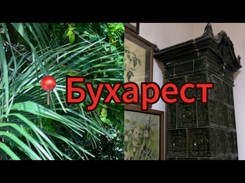 Видео: 🇷🇴Ботанический сад Бухареста: от тропиков до музейных тайн
