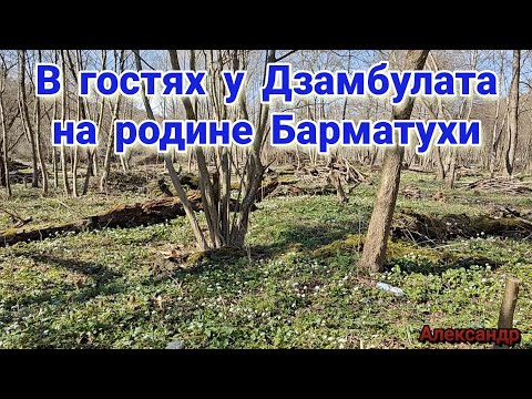 Видео: В гостях у Дзамболата на родине Барматухи