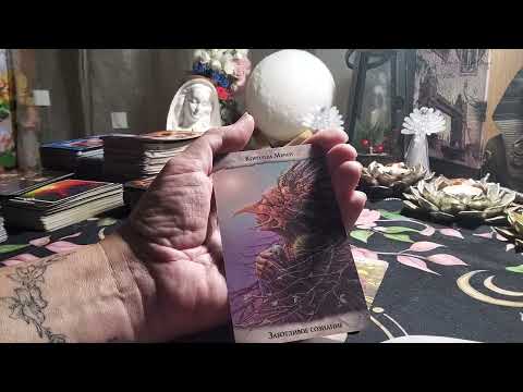 Видео: ЧТО С ВАМИ СЕЙЧАС ПРОИСХОДИТ#оракул#siraya