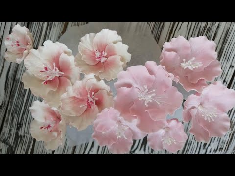 Видео: Сахарные цветы 💐 из МАСТИКИ. Можно сделать заранее.