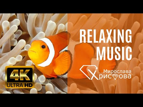 Видео: RELAXING MUSIC   PEACEFUL PIANO & GUITAR  (4K UHD) || РЕЛАКСИРАЩА МУЗИКА - СПОКОЙНО ПИАНО И КИТАРА