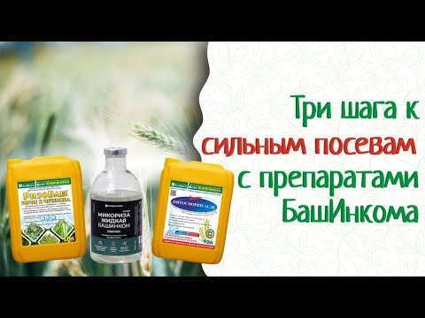Видео: Микробиология, биопрепараты, обработка семян, урожайность! Смотри видео