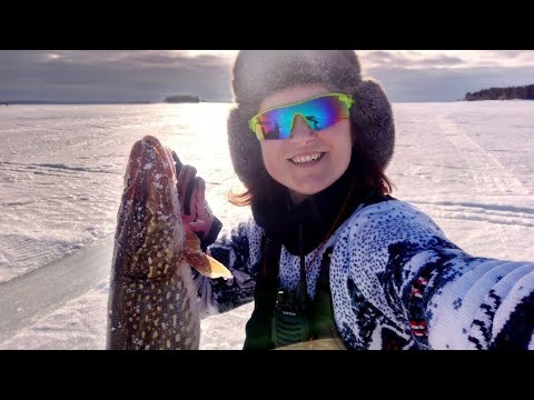 Видео: Рыбалка на жерлицы, хитрые щуки, масленичные блины с икрой!