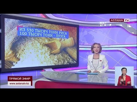 Видео: В Кызылординской области некоторые хозяйства начали перерабатывать рисовую шелуху