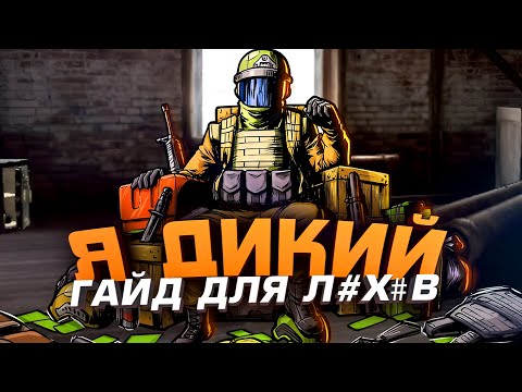 Видео: Я ДИКИЙ! - ЛУЧШИЙ ГАЙД В Arena Breakout Infinite
