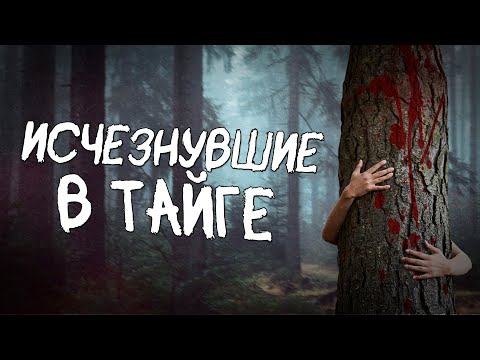 Видео: Трагедия в лесах КОМИ (путешествие в поселок обдырских отшельников)