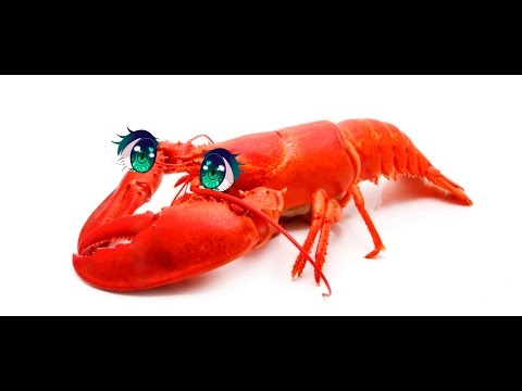 Видео: АНИМЕ ЛЕЧИТ РАК