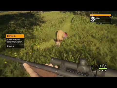 Видео: theHunter - Call of the Wild - 1. Возвращение охотника