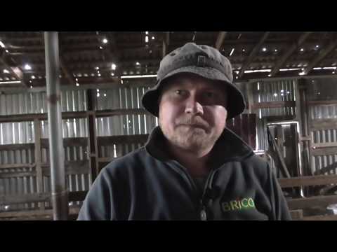 Видео: Понос у овец I Итоги окота