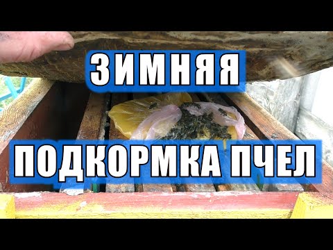 Видео: ПОДКОРМКА ПЧЕЛ ЗИМОЙ.