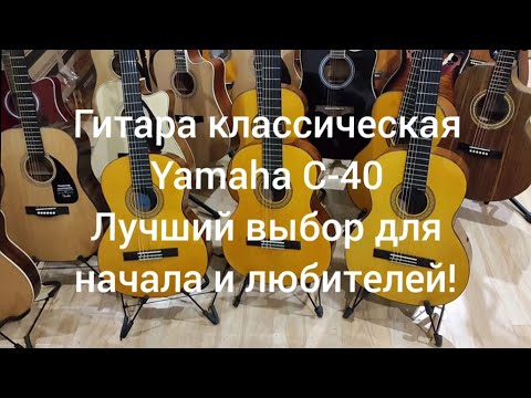 Видео: Гитара классическая Yamaha C-40! Как выбрать где купить гитару недорого?|Мьюзик-Стор|musik-store.ru