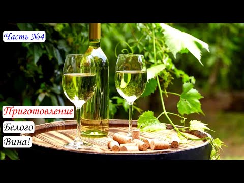 Видео: Приготовление БЕЛОГО ВИНА. Вино из Цитронного Магарача. Часть №4
