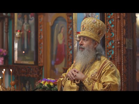 Видео: Проповедь митр. Арсения в Неделю Всех святых 27.6.21 г.