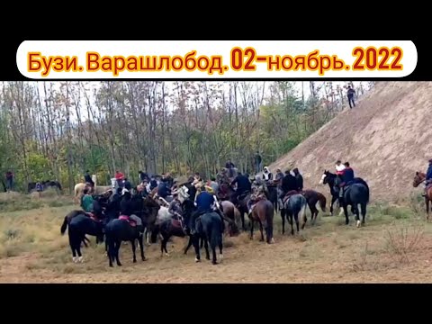 Видео: Бузи варашлобод. 02-ноябрь . 2022