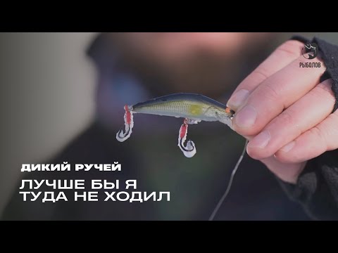 Видео: Лучше бы я туда не ходил. Дикий ручей