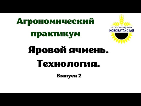 Видео: Яровой ячмень. Технология. Всходы-уборка.