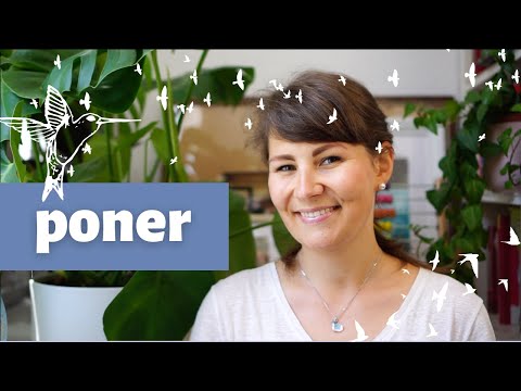 Видео: Испанский глагол poner