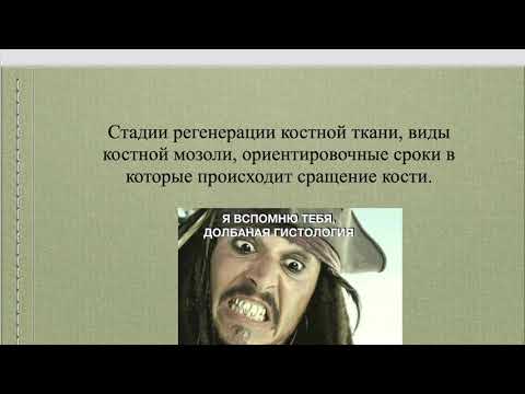 Видео: 7. Стадии регенерации костной ткани, виды костной мозоли, сроки в которые происходит сращение кости.