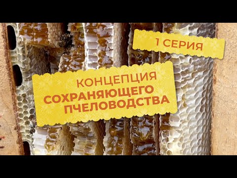 Видео: 1 серия. Концепция сохраняющего пчеловодства