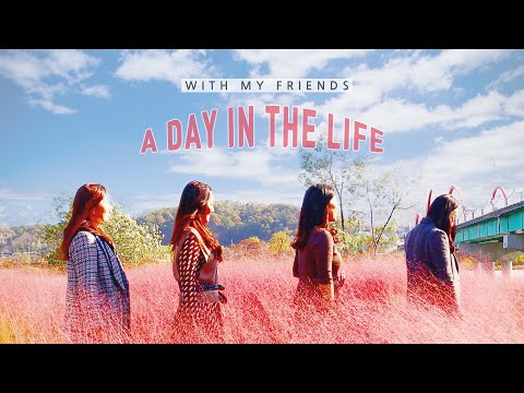 Видео: В один прекрасный день с моими старыми друзьями: мы корейские друзья, нам за 40.