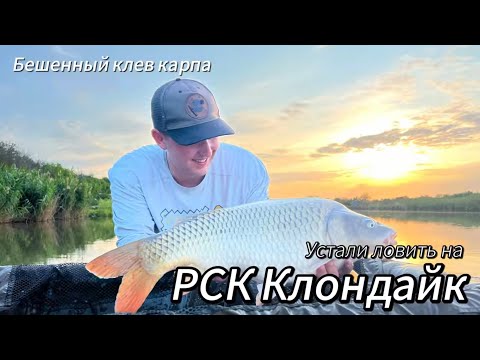 Видео: Устали ловить рыбу на РСК Клондайк😲😲😲