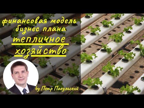 Видео: Бизнес-план теплицы. Финансовая модель тепличного хозяйства. Теплица, как бизнес-идея. Как начать?