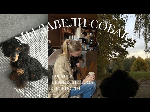 Видео: мы взяли щенка 🐕‍🦺🦴🐾 | первые дни дома, сложности и как изменилась наша жизнь