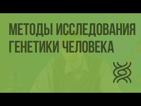 Видео: Методы исследования генетики человека. Видеоурок по биологии 10 класс