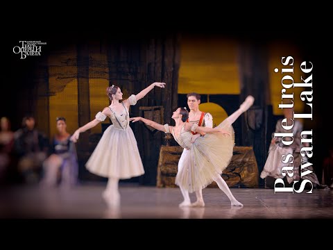 Видео: Па-де-труа, Лебединое озеро / Pas de trois, Swan Lake -  4K